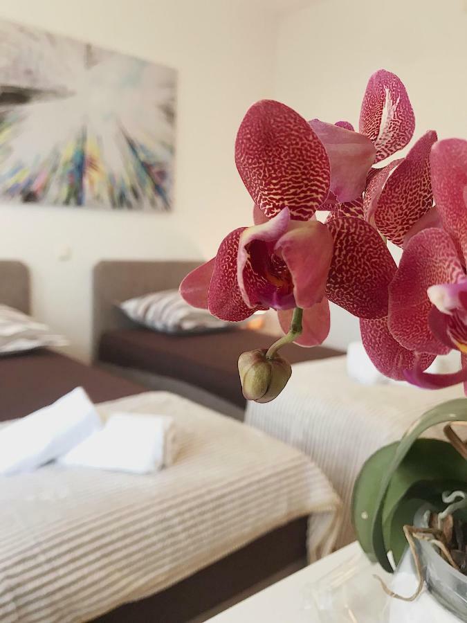Guesthouse Villa Cvita & Slavko Trogir Zewnętrze zdjęcie
